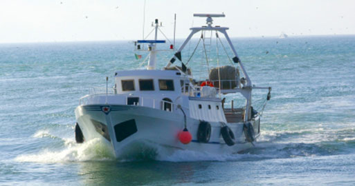 Industrial and professional fishing